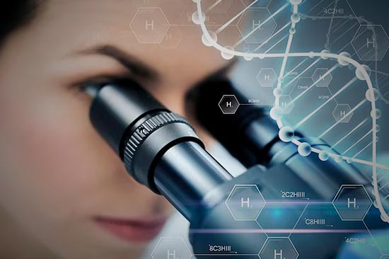 Servicios Profesionales EKHART S.A. DE C.V.